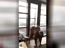 Twerking for the City