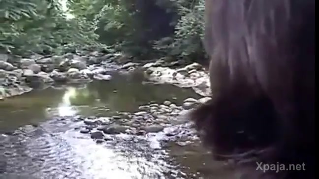 Señión con un mulato en el río