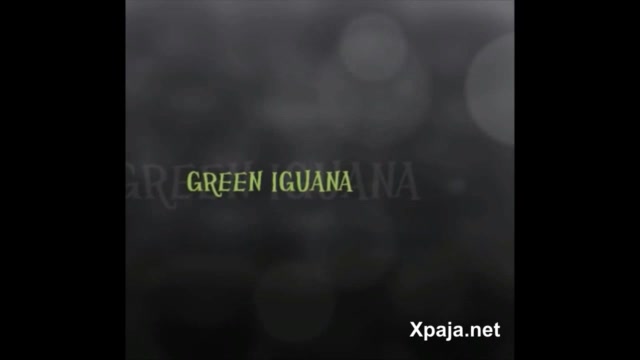 Stripper personal y terminar follando